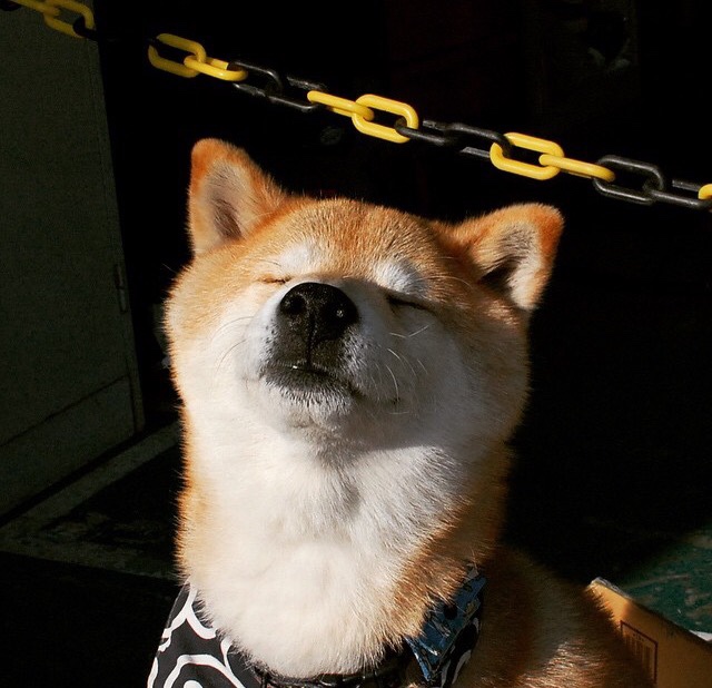 华体会在线-中超联赛中国女足爆冷 战术体系受质疑，中国女足反超