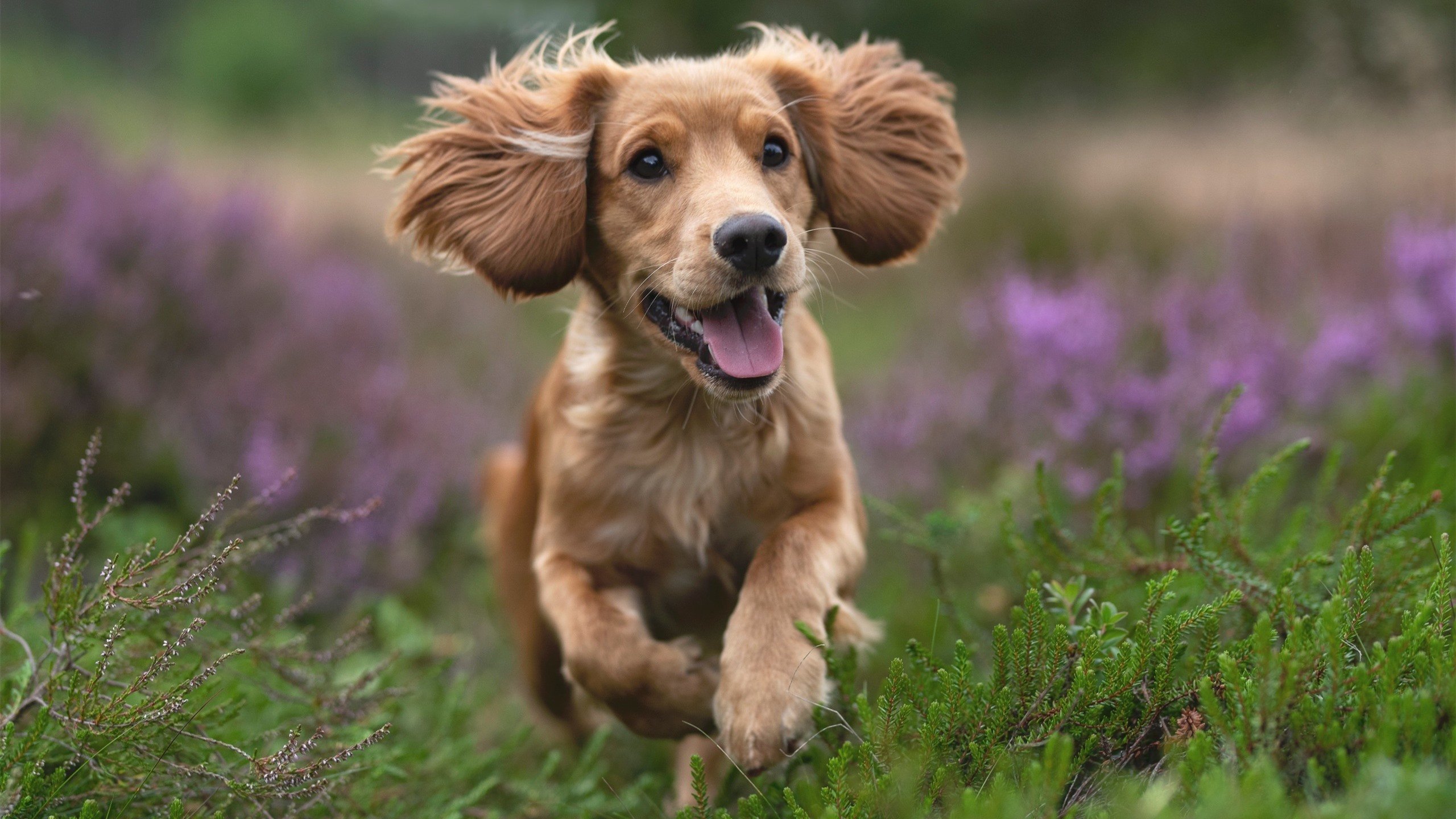 体育新闻中心协办数字体育传播场景应用测试周,体育赛事新媒体传播