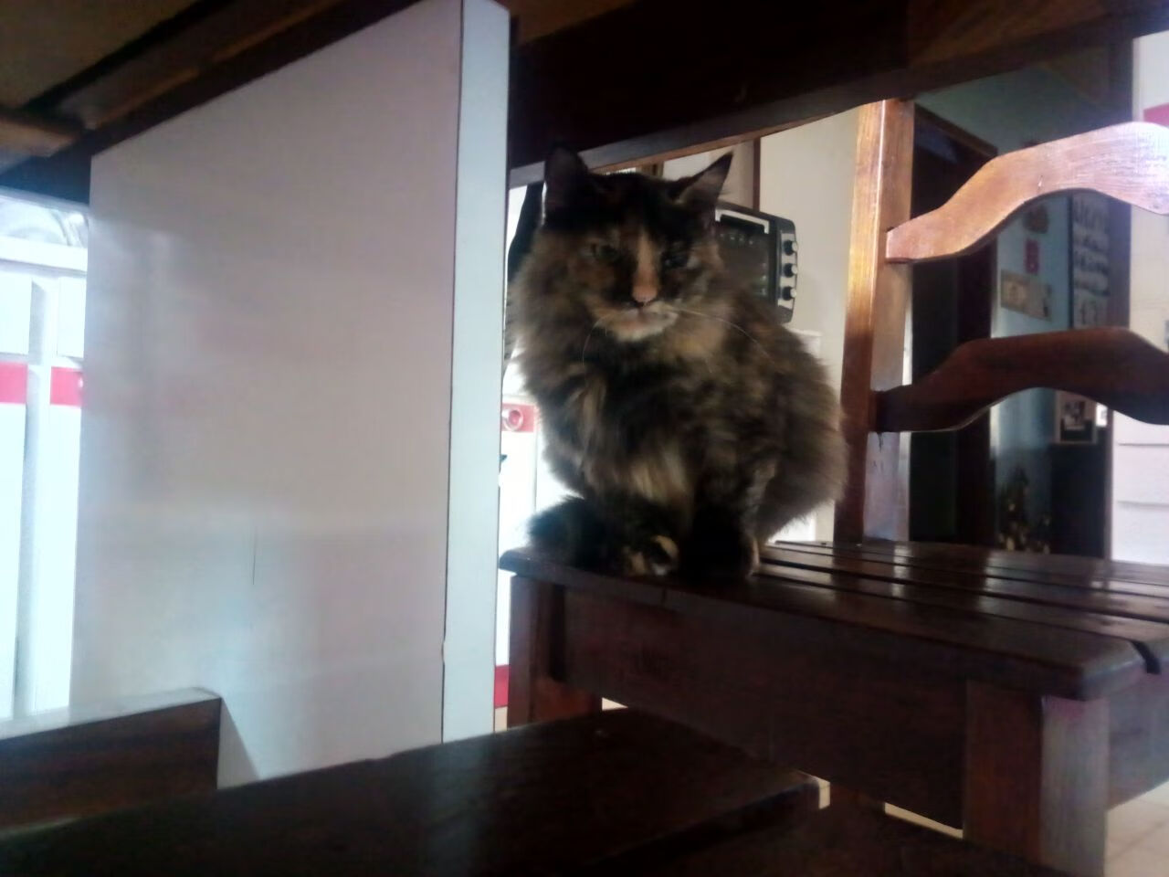 华体会在线登录-战队选手赛场配合默契团队执行力备受好评，战队合作