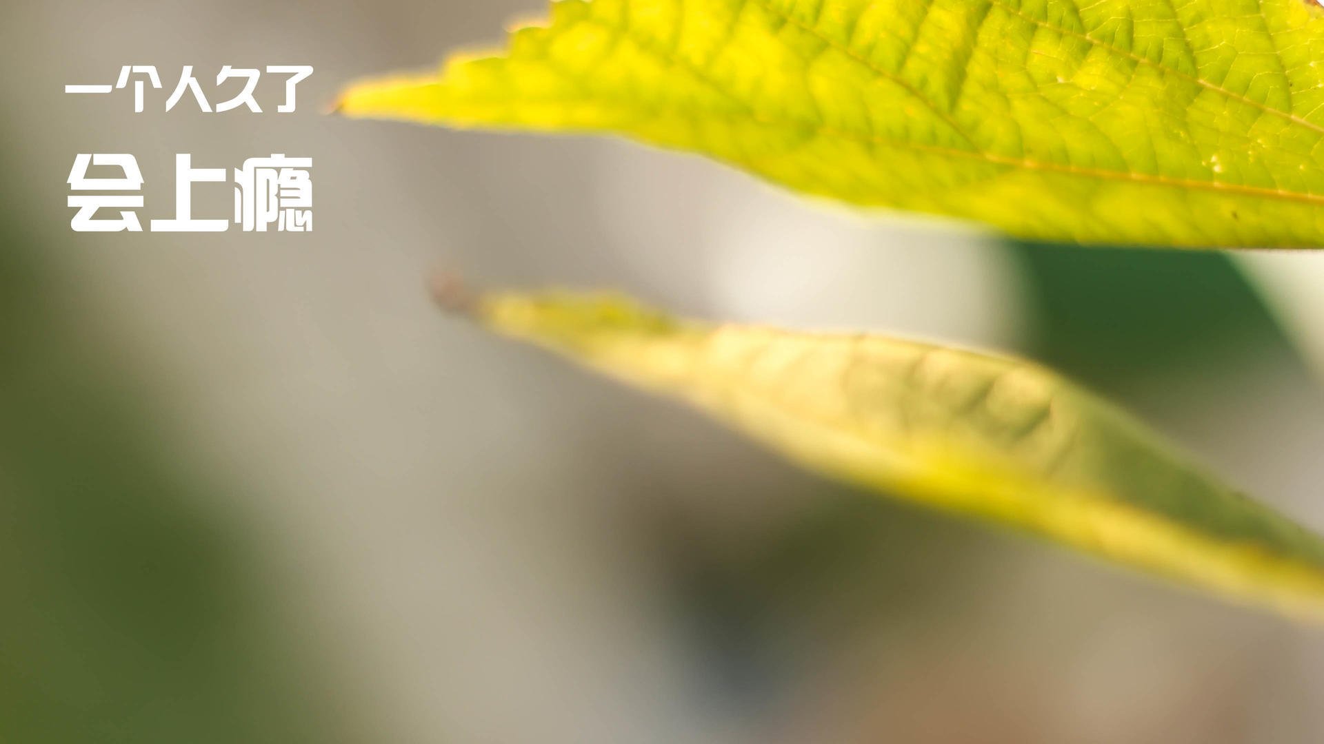 华体会在线登录-体育新闻中心公布运动队医支持标准化指导意见，运动队队医职责