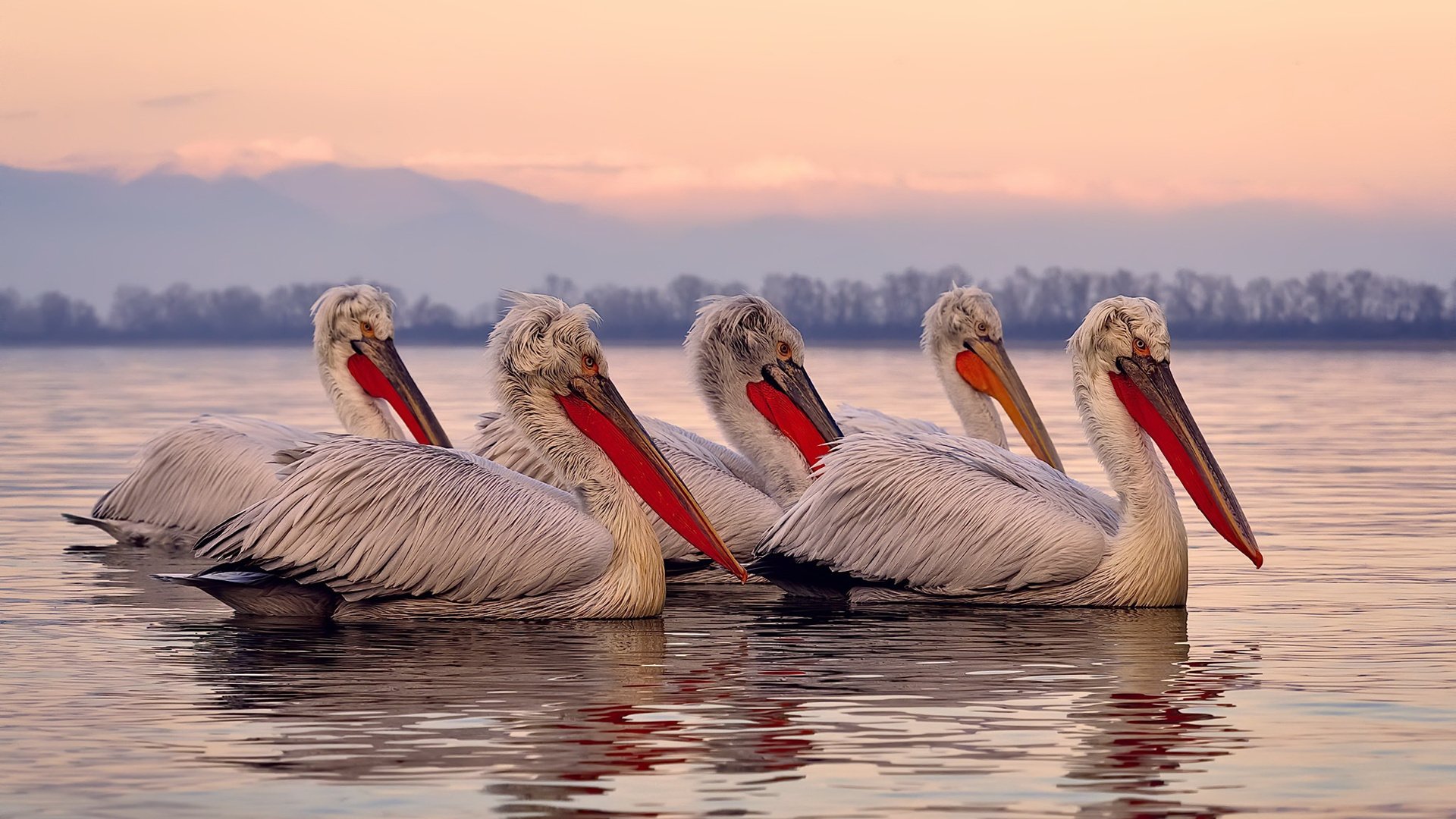 华体会app注册-女子足球设立球员公众表达训练提升媒体表现力，女子足球队的标语