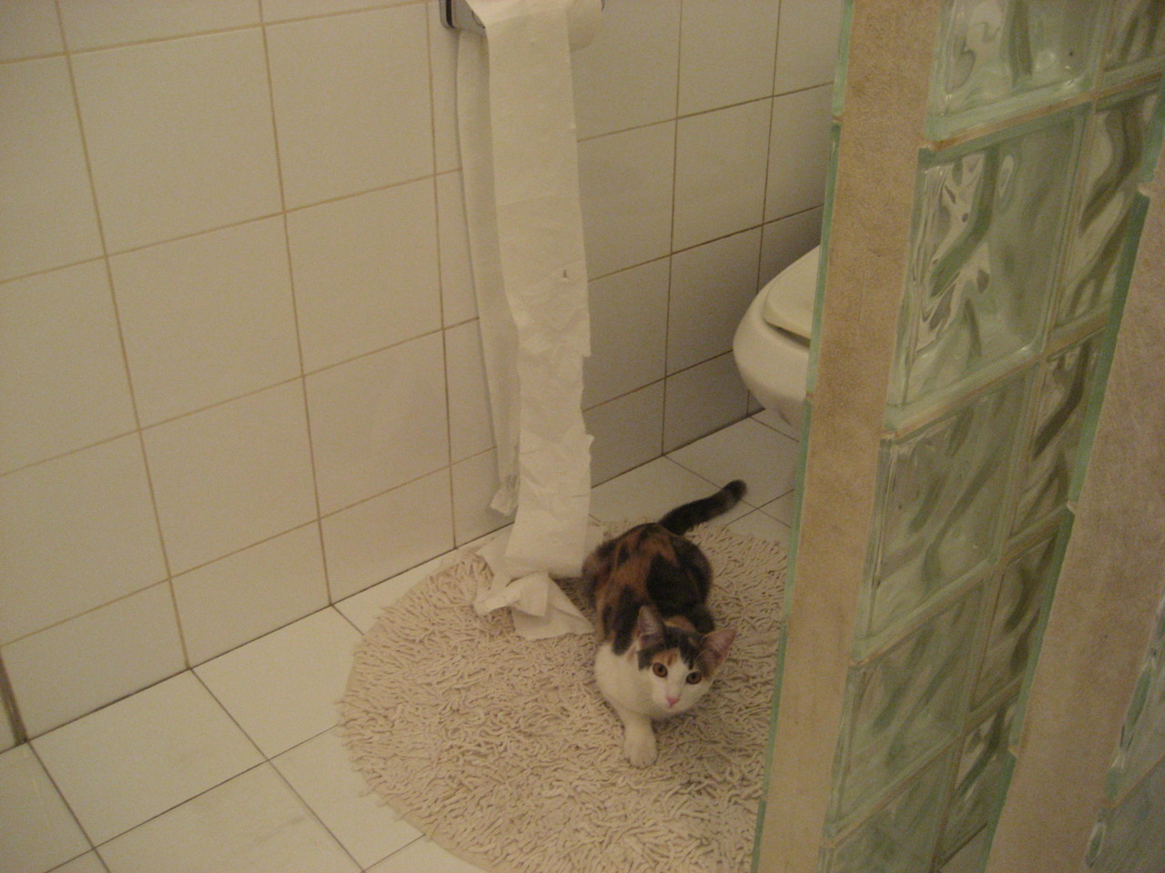 华体会app-战术应变速度快面对变化迅速调整确保比赛节奏维持在优势端，战术的应用过程较量是战术的理论知识的掌握