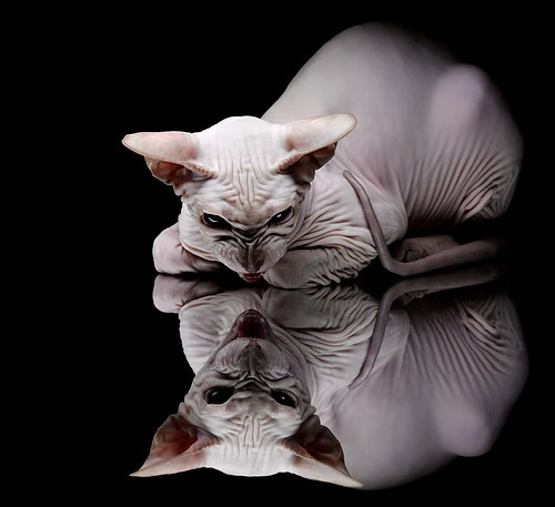 斯洛伐克男篮在欧洲大赛中持续努力,追求世界强队地位,斯洛伐克男篮实力