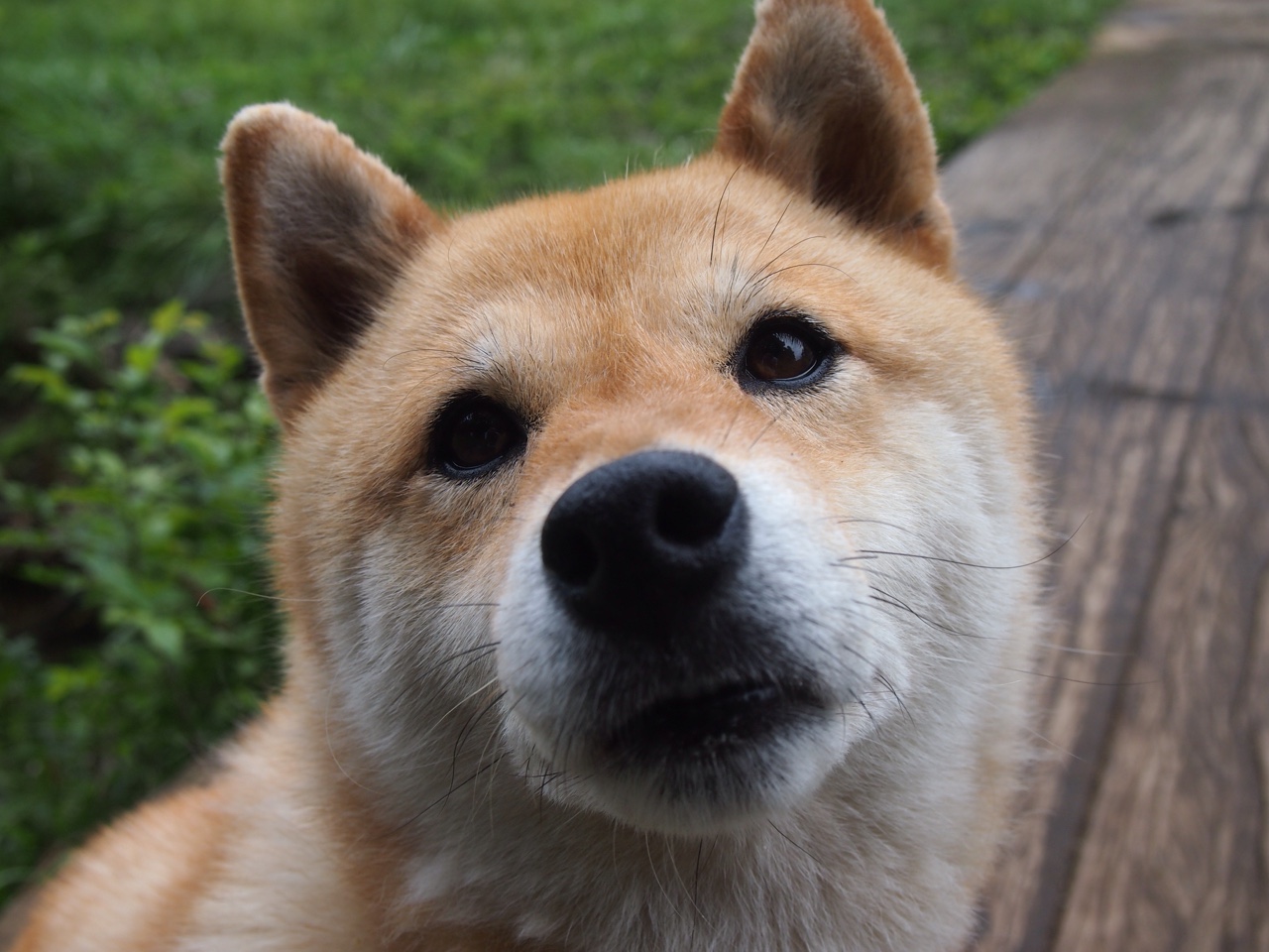 华体会登录-欧洲杯决胜时刻：变阵、逃脱、奇迹不断出现，欧洲杯决赛用球谍照