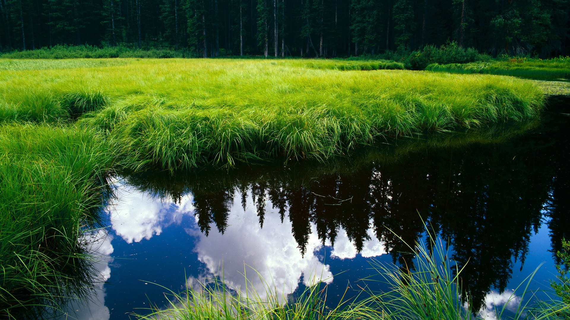 美国女子4×200米自由泳接力决赛夺银,女子4ⅹ200米自由泳接力决赛视频回放