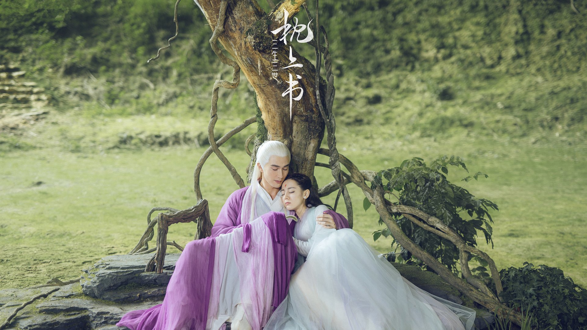 美洲杯激情战火:人生的梦想为足球燃烧,美洲杯精彩集锦