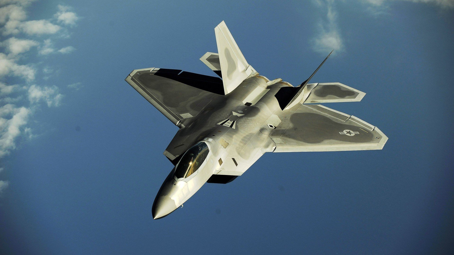 蛙泳赛场荷兰节奏控制精准,国外蛙泳