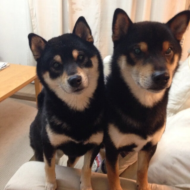 华体会登录-中国足球历史上的高光时刻，中国足球最高光时刻